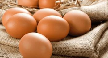 Очікується, що ціни на яйця в Японії «зростуть» після рекордної вибраковки 10 млн птахів, - огляд іноземних ЗМІ за 11.01.2023 Рис.1