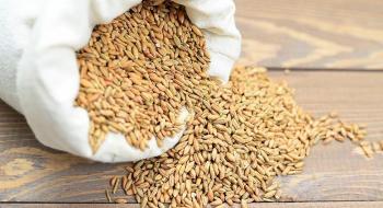 Уряд Індії припинив стару схему безкоштовного продовольчого зерна і ввів нову, - огляд іноземних ЗМІ за 31.12.2022-2.01.2023 Рис.1