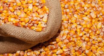 В Україні намолочено 25,2 млн тонн кукурудзи Рис.1