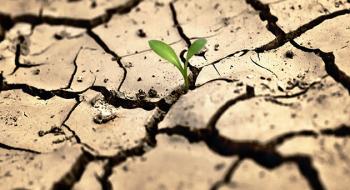 Війна та посуха спричинили «різке» зростання цін на сільськогосподарську продукцію ЄС у 2022 році, - огляд іноземних ЗМІ за 12-13.01.2023 Рис.1