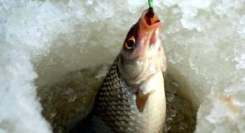 Зимова риболовля за новими правилами: що потрібно знати Рис.1