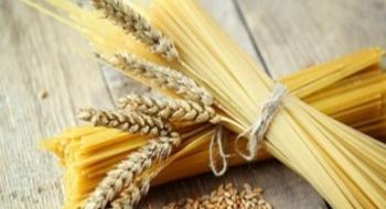 Попит на насіння ярої пшениці твердих сортів зростає Рис.1