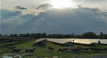 Сонячне фермерство – майбутнє агробізнесу України Рис.1