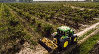 В Україні зростає площа промислових горіхових садів Рис.1