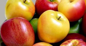 Вчені назвали найсмачніші сорти яблук Рис.1