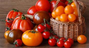 Заводи з переробки томатів у Миколаївській області відновлять свою роботу Рис.1