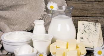 Експорт молочних продуктів з початку року підскочив на 55% Рис.1