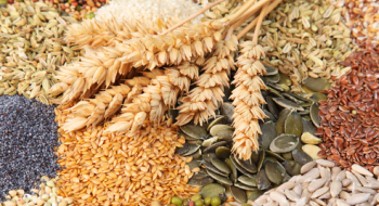 ФАО розподілить насіння сільськогосподарських культур серед фермерів Харківської області Рис.1