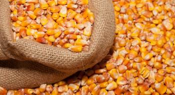 Прийом заявок на отримання насіння кукурудзи закрито Рис.1