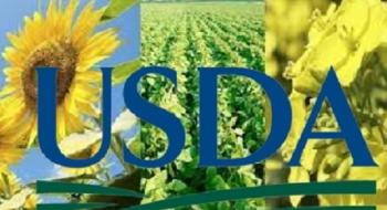 USDA знизив прогноз урожаю сої в Аргентині та підвищив прогноз виробництва каноли Рис.1