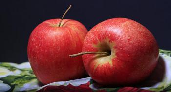 В Україні посадять 20 га інноваційних французьких яблунь Рис.1