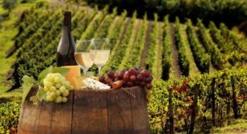 "Виноградарі можуть отримати гранти на розвиток господарств", - Олександр Гайду Рис.1