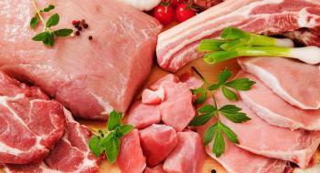 Адаптація українського законодавства до європейського відкриє можливість експорту свинини на ринки ЄС, - Тарас Висоцький Рис.1
