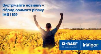 BASF виводить на ринок України новий середньоранній гібрид озимого ріпаку Рис.1