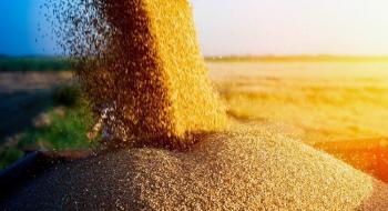 Експорт українського зерна у поточному сезоні сягнув 40 млн тонн Рис.1