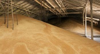 Експорт зерна з України до Польщі призупинено щонайменше до липня Рис.1