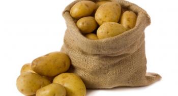 Фермерам на лінії фронту передадуть насіннєву картоплю з Ірландії Рис.1