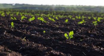 Молдавські аграрії, які інвестують у поліпшення ґрунтів, можуть отримати гранти Рис.1