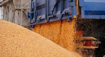 Микола Сольський: на вартість зерна у світі впливає війна проти України Рис.1