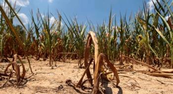 Найсильніша за останні 100 років посуха завдала значних збитків економіці Аргентини Рис.1