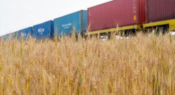 П'ять країн ЄС закликають Брюссель купити українське зерно, що накопичилося у них Рис.1
