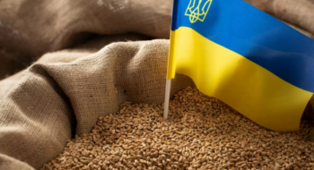 Румунія обіцяє не забороняти українське зерно і дочекатись рішення Єврокомісії Рис.1