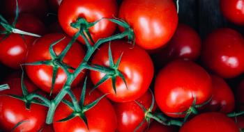 В Україні ціна на імпортні томати за тиждень злетіла в 1,5 раза Рис.1