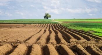 В Україні посіяно 1 млн гектарів ярих культур Рис.1