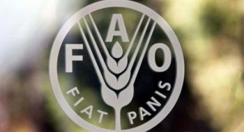 За даними ФАО світові ціни на продовольство за рік знизилися на 20% Рис.1
