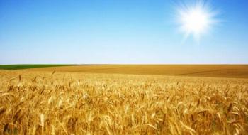 Закупівельні ціни на пшеницю в Україні продовжують опускатися Рис.1