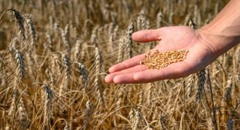 Американські фермери, які вирощують пшеницю, очікують, що зберуть лише 67% посівної площі, що є найнижчим показником з 1917 року, - огляд іноземних ЗМІ 13-15.05.2023 Рис.1