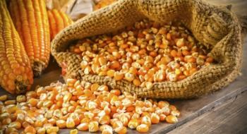 Ціни на кукурудзу залишаються під тиском активної сівби у США Рис.1