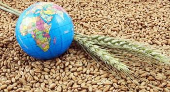 На експорт з України пішло майже 15 млн т пшениці Рис.1