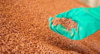 На Франківщині відновлять виробництво калійних добрив Рис.1