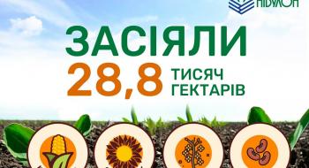 “НІБУЛОН” завершив весняну посівну-2023 Рис.1