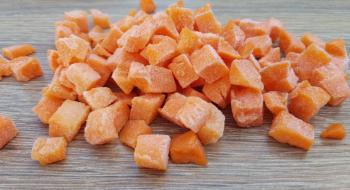“Органік-Д” розпочала будівництво заводу, який виготовлятиме заморожену моркву та цибулю Рис.1