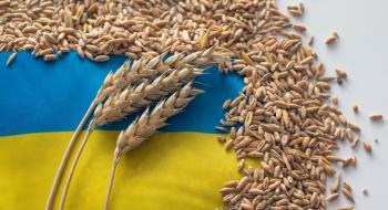Україна скорочує темпи експорту через блокування зернового коридору та поставок до ЄС Рис.1