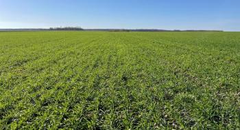 В Україні посіяно вже понад 3,5 млн тис. га ярих зернових культур Рис.1