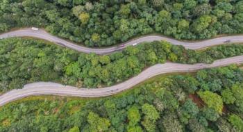 В Україні прокладуть рекордну кількість нових лісових доріг Рис.1