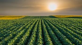 В Україні зменшуються запаси продуктивної вологи в ґрунті Рис.1