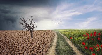 Агенція MARS знизила оцінки урожайності в ЄС внаслідок посухи Рис.1