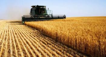 Agritel-Argus знижує прогноз врожаю пшениці в Румунії через посушливий травень, - огляд іноземних ЗМІ 13-15.06.2023 Рис.1