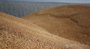 ФАО прогнозує рекордні запаси зерна Рис.1