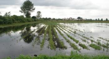 На Черкащині місяцями досі не вдасться засіяти поля через водопілля Рис.1