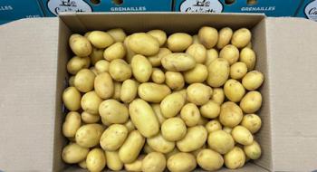 На європейському ринку суттєвий дефіцит картоплі і високі ціни Рис.1