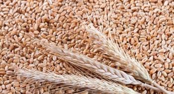 Світові ціни на пшеницю падають на прогнозах опадів у США Рис.1