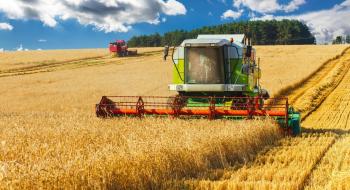 УКАБ знизив прогноз урожаю пшениці для України Рис.1