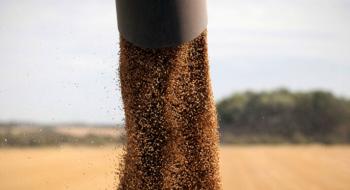 Україна цього року збере 68 млн т зернових та олійних,- УЗА Рис.1