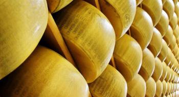 Виробництво сиру рекордно зростає Рис.1