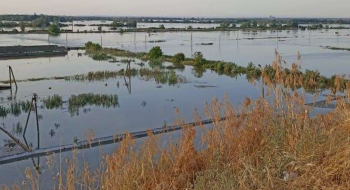 Єдиний державний осетровий завод в Україні повністю затоплено Рис.1
